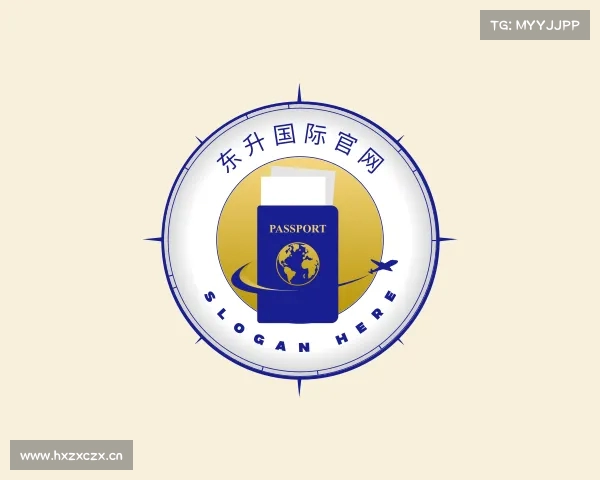 解读东升国际官网